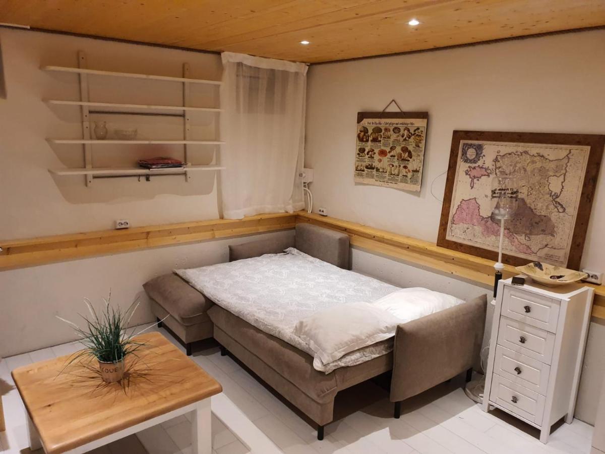 Apartment Center Basement Studio